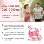 Coenzyme Q10 - Image 5